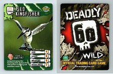 Pied Kingfisher #98/161 Deadly