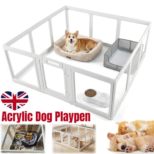 Large spacious acrylic dog - large,