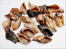 DriedDogTreats Dried Cow