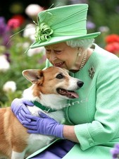 HER MAJESTY THE QUEEN