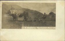 RPPC oxen & horse drawn antique farm equipment plow Kent Co 1905-06 UDB postcard