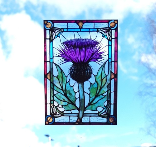 Thistle decorative stained - decorative,
