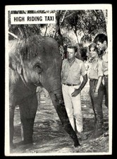 1966 Philadelphia Daktari #49