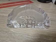 Glass Polar Bear Impressed