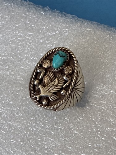 Navajo running bear - navajo,