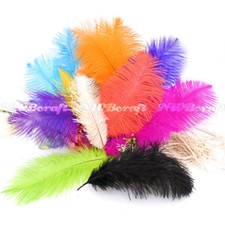 10pcs natural ostrich - natural,