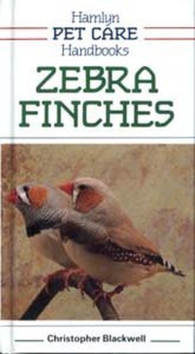 Zebra finches pet - zebra,