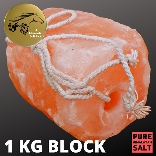 Himalayan salt lick rock - lick,