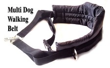 MMDOGGEAR, Multi Dog Walking