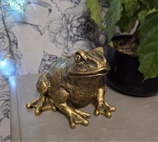 Fabulous Golden Frog Hare