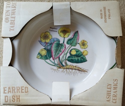 Vintage ashley ceramics earred - vintage,