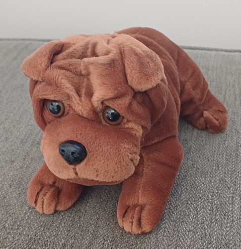 Brown bull dog puppy - puppy, simply