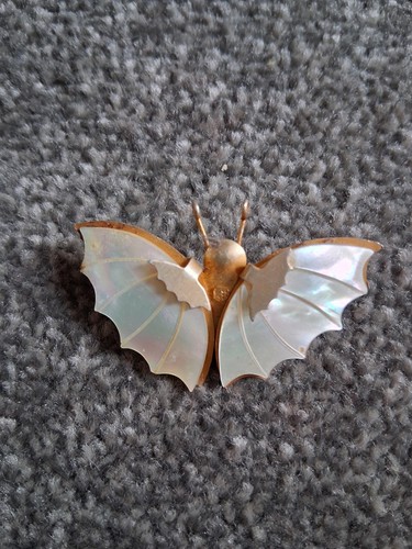 Mother pearl butterfly - mother,