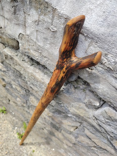 Spalter elm thumb - spalter,
