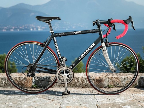 Eddy merckx road bike - merckx,