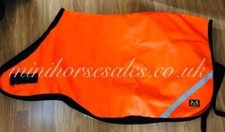 waterproof Walker/Lunge Rug