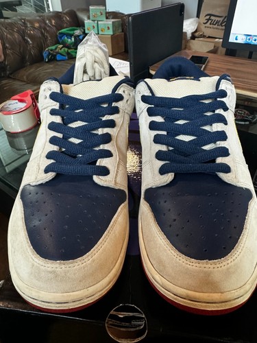 Size nike dunk pro - 10.5,