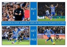 12347. Brighton & Hove Albion