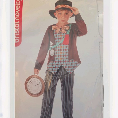 Mad hatter boys fancy - boys,