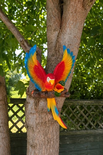 Large scarlet macaw garden - large,