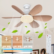 40W Modern Led Ceiling Fan
