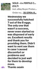 12 x Mixed Breed (tested )