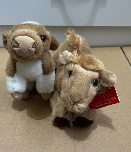 Lot aurora cow camel - of,