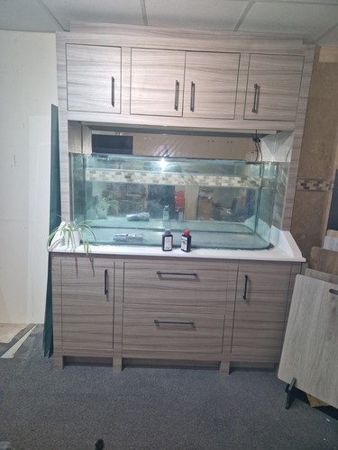 Large fish tank vivarium - fish-tank,