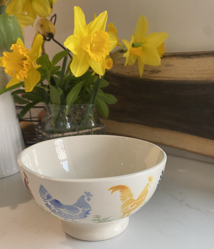 Brand new emma bridgewater - -,