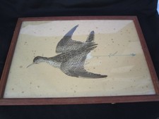 Woodcock Birds 19th Century