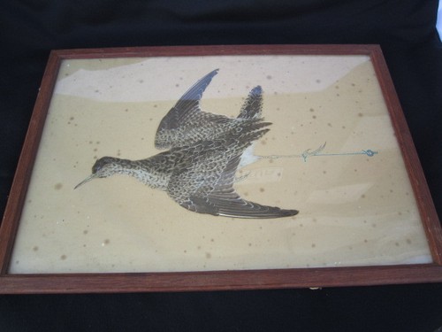 Woodcock birds 19th century - woodcock,
