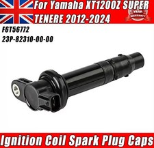 Ignition Coil Spark Plug Caps