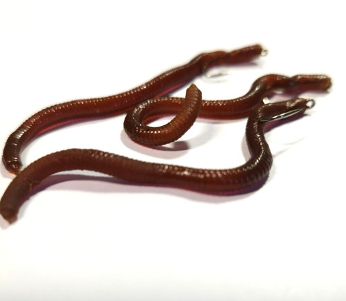 Earth worm fly fishing - earth,