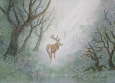 Stag painting watercolour