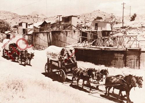 Picture postcard old - postcard:-old, horse