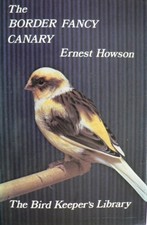 The border fancy canary - fancy,