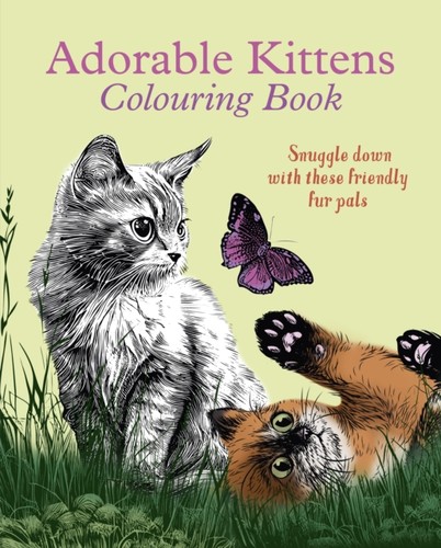Adorable kittens colouring - adorable,
