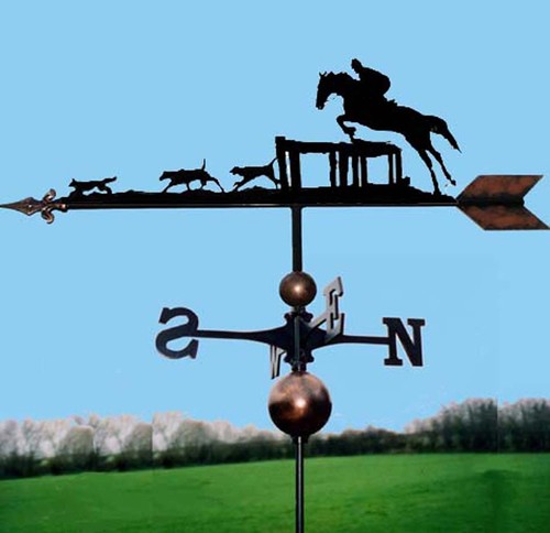 Horse hounds fox hunting - fox,