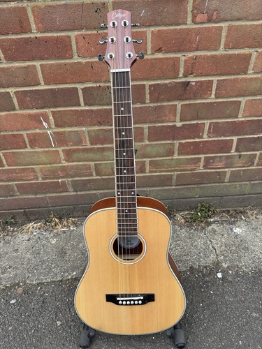 Carry mini acoustic guitar - carry-on,