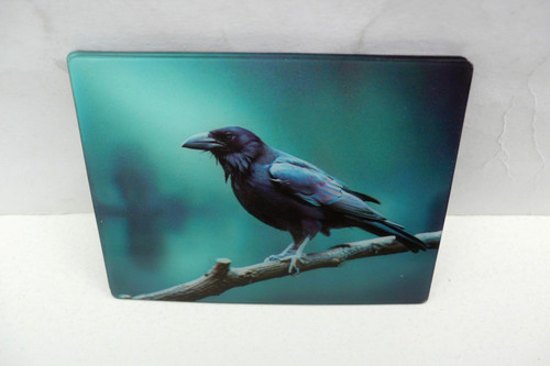Fridge magnet raven - fridge,