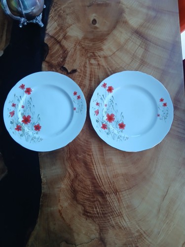 Pair vintage colclough - pair,