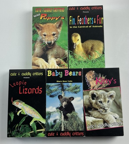 Cute and cuddly - cute, critters