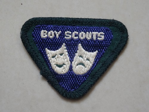 Boy scouts wolf - wolf, cub