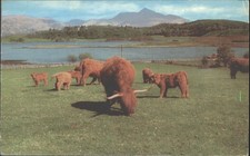 Vintage LOCH ETIVE Scotland
