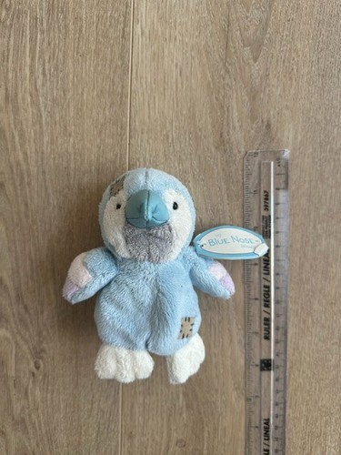Melody blue nose - melody, friends