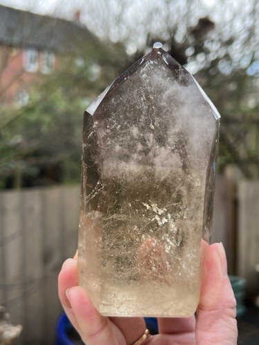 Large brazilian caramel - large,