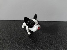 Miniature French Bulldog