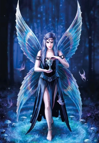 Anne stokes enchantment fairy - anne,