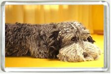 AA Dog Fridge Magnet laying