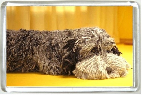 Dog fridge magnet laying - fridge,